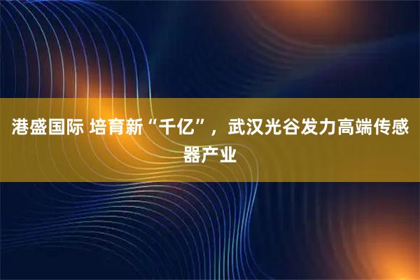 港盛国际 培育新“千亿”，武汉光谷发力高端传感器产业