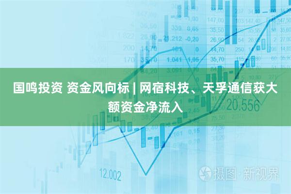 国鸣投资 资金风向标 | 网宿科技、天孚通信获大额资金净流入