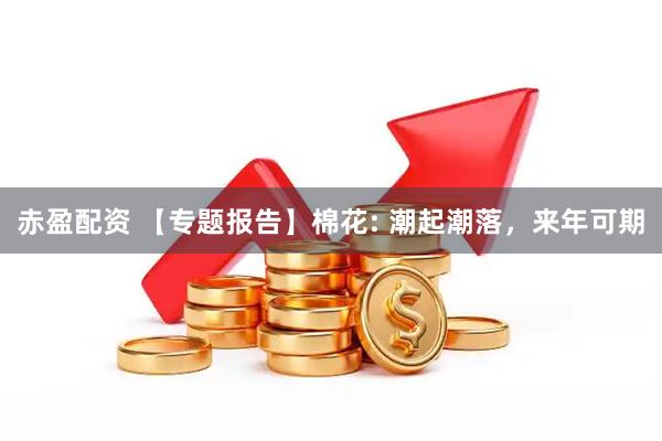 赤盈配资 【专题报告】棉花: 潮起潮落，来年可期