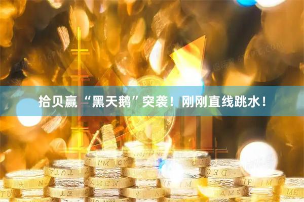 拾贝赢 “黑天鹅”突袭！刚刚直线跳水！